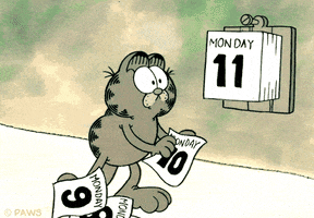 Oh No Cat GIF by Garfield