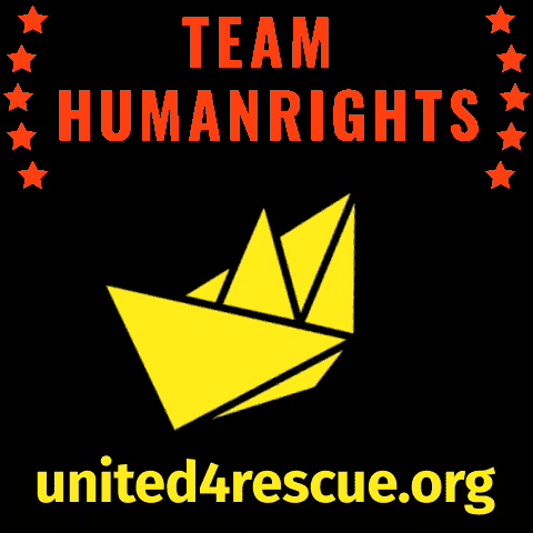 Searchandrescue Searescue GIF by United4Rescue