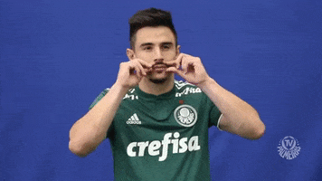 mustache GIF by SE Palmeiras