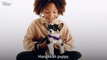 Puppy Dogs GIF by Disney Channel