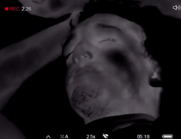 Jouvert GIF by BROCKHAMPTON