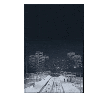 Oslo Bok Sticker by Don Martin