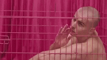 cage go to town GIF by Doja Cat