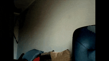 mateuszmokrynka  GIF