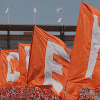 Go Tigers GIF by Clemson University