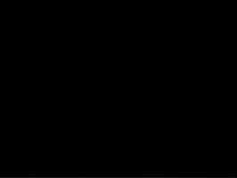 Charlie Kirk Bg3 GIF