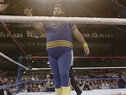 Wrestlemania V Wrestling GIF by WWE - Find & Share on GIPHY