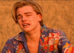 Leonardo Dicaprio Reaction GIF - Find & Share on GIPHY