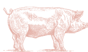 Bauernhof Schweinchen Sticker by Landhaus Averbeck