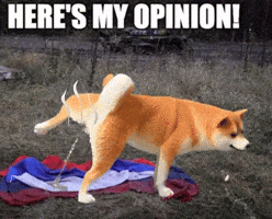 Russia GIF
