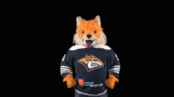 Metallurg GIF