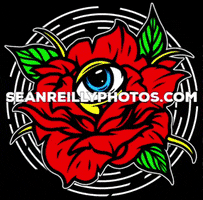 seanreillyphotos rose photography eye baltimore GIF