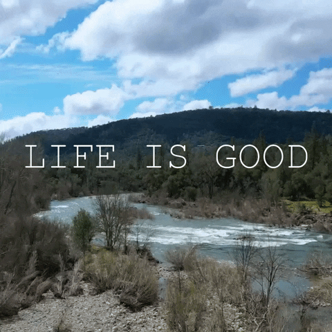 Life Is Good Drone GIF by Yevbel