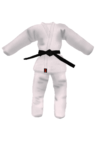 Judo Buddy Sticker