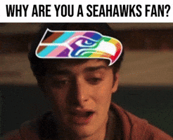 Seahawks 49Ers GIF