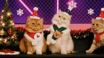 X-Mas Christmas GIF