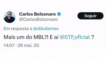 Bolsonaro GIF