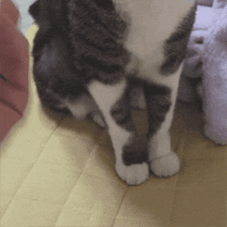 Give Round And Round GIF