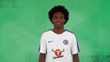 happy willian borges da silva GIF by Chelsea FC