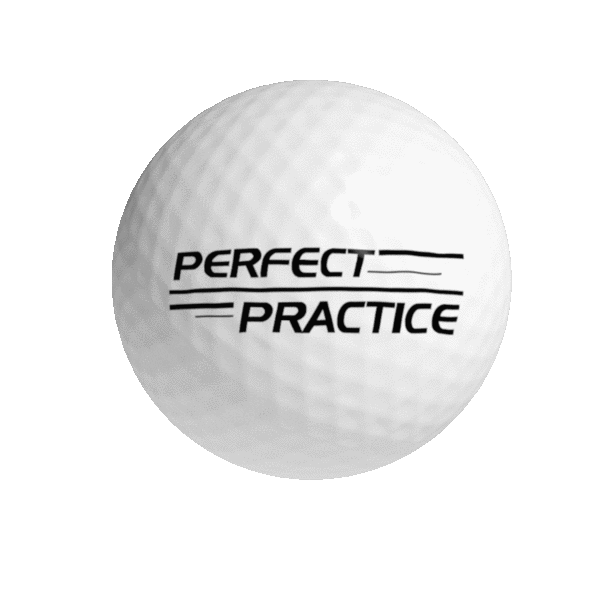 Ball Putting Sticker by Perfect Practice Golf