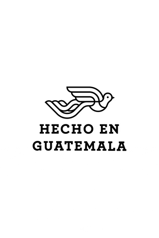 Fenómeno Studio GIF