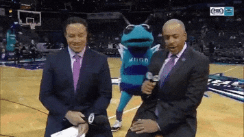 happy dance GIF by Charlotte Hornets