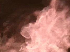 Light My Fire Burn GIF by ANTI- Records