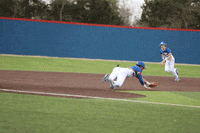 Pete-alonso GIFs - Get the best GIF on GIPHY