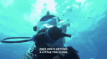 go away attack GIF by Shark Week