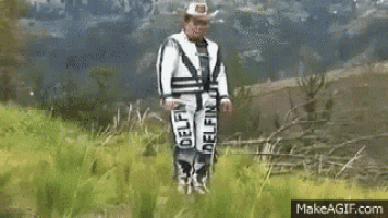Delfin GIF