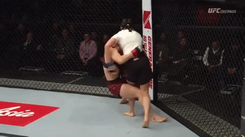Bjj Armbar GIF
