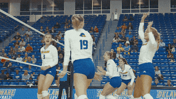 happy ncaa sports GIF by Delaware Blue Hens