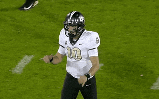 Touchdown Hawaii GIF by UCF Knights