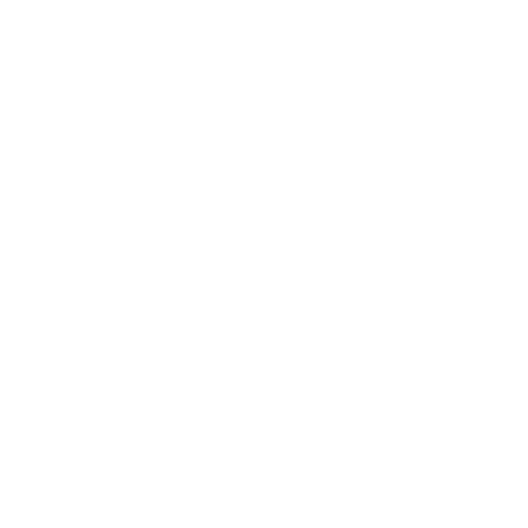 Disnove Volkswagen Sticker