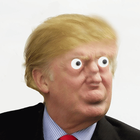 Mad Trump GIF by osmarval