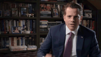 Anthony Scaramucci No GIF