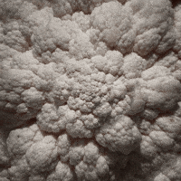 food porn wtf GIF by Feliks Tomasz Konczakowski