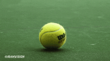 200.gif?cid=fc005b08fc70e9e34e6b4c63e5f93542794699dc238be377&rid=200.gif&ct=g