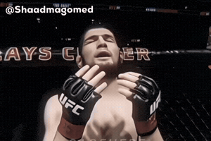 Khabib Vs Conor GIF