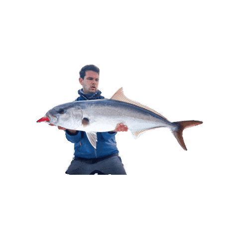 divateamfishing Sticker