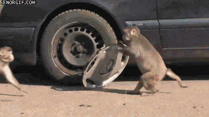 Giphy - Car Stealing GIF