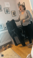 Irish Mom Cracks Up After Finding Trousers Froze on Washing Line