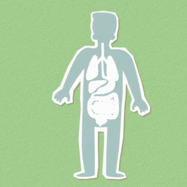 Doktor GIF by aclkonsultan