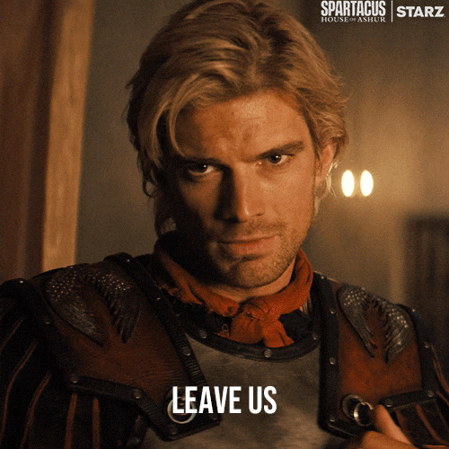 Tv Show Television GIF by Spartacus