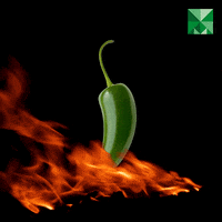 Zielone-chilli GIFs - Get the best GIF on GIPHY
