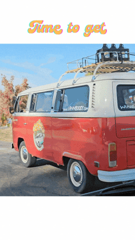 Drunk Wine GIF by vannboozy