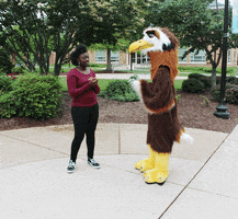 money hawk GIF by College of Southern Maryland
