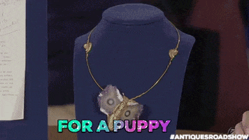 dog puppy GIF by ANTIQUES ROADSHOW | PBS