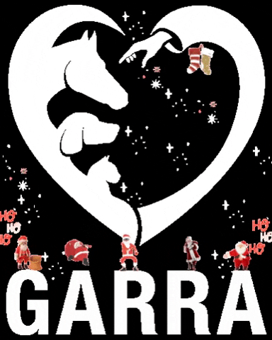 Garranimal GIF by GARRA