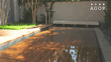 Pool Deck GIF by Daily Mail Online